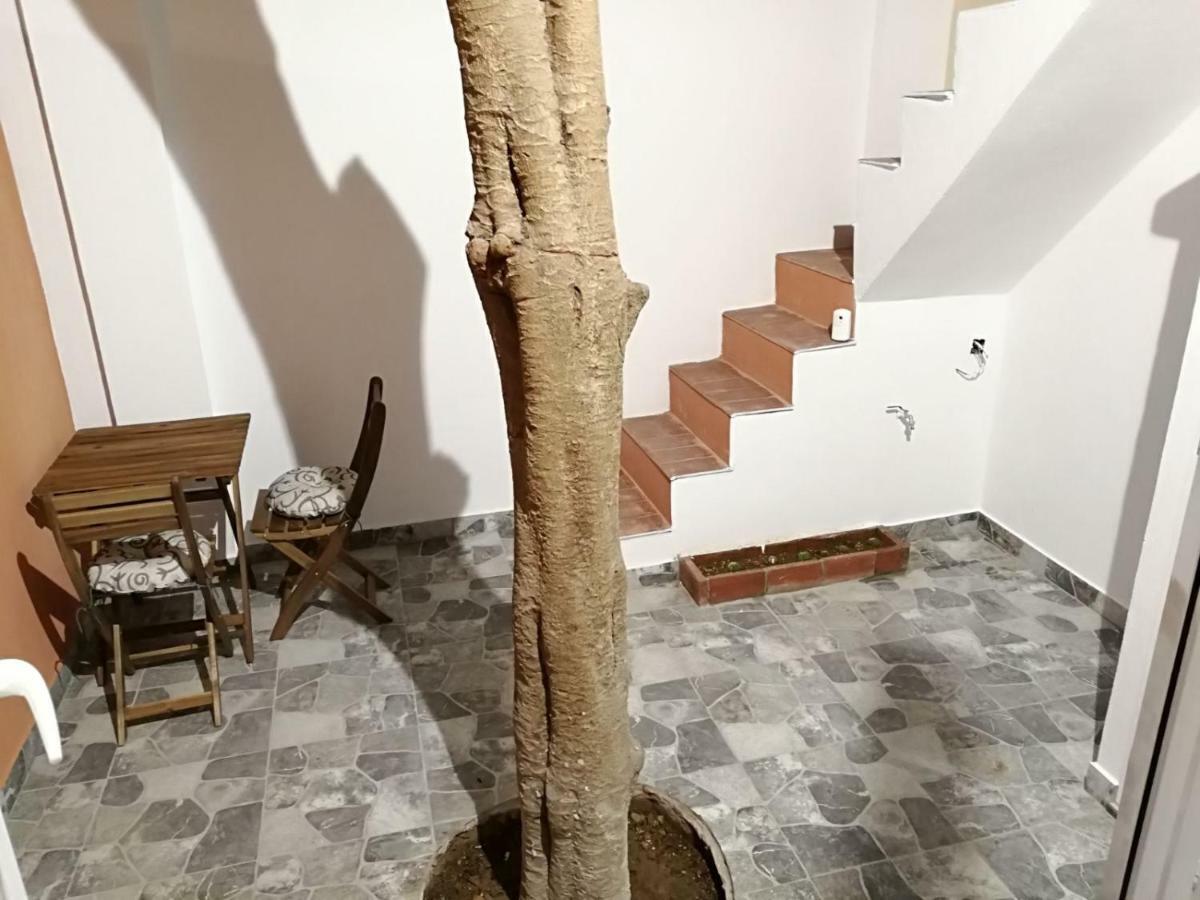 Apartamentos Villajovita Ceuta Extérieur photo
